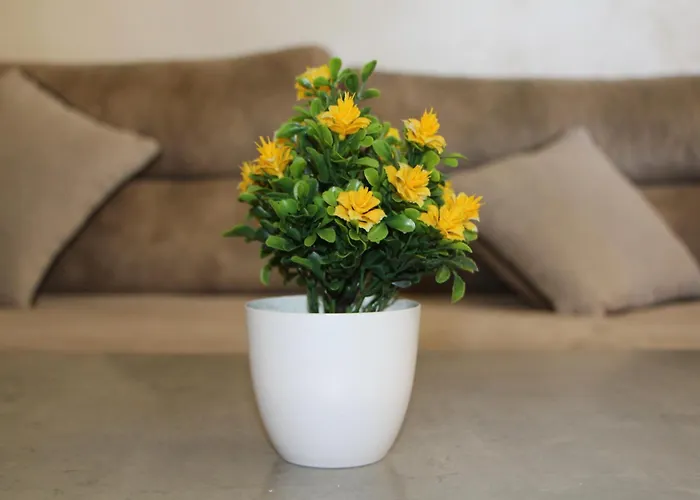 Apartment Blue View 4 Durrës