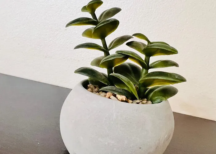 Apartament Blue View 4